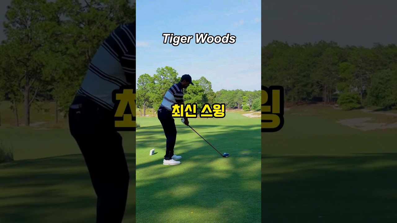 💯 👍4,50대가 봐야하는 타이거우즈 최근 스윙 #tigerwoods #タイガーウッズ