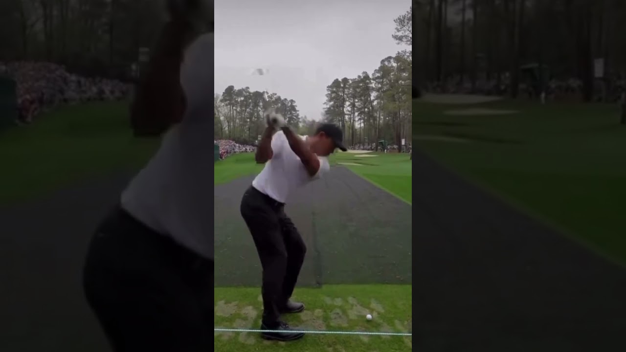 Tiger Woods Iron Swing