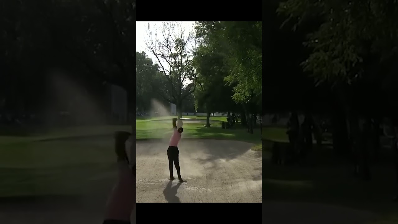 Tiger's Greatest 9 iron EVER!!