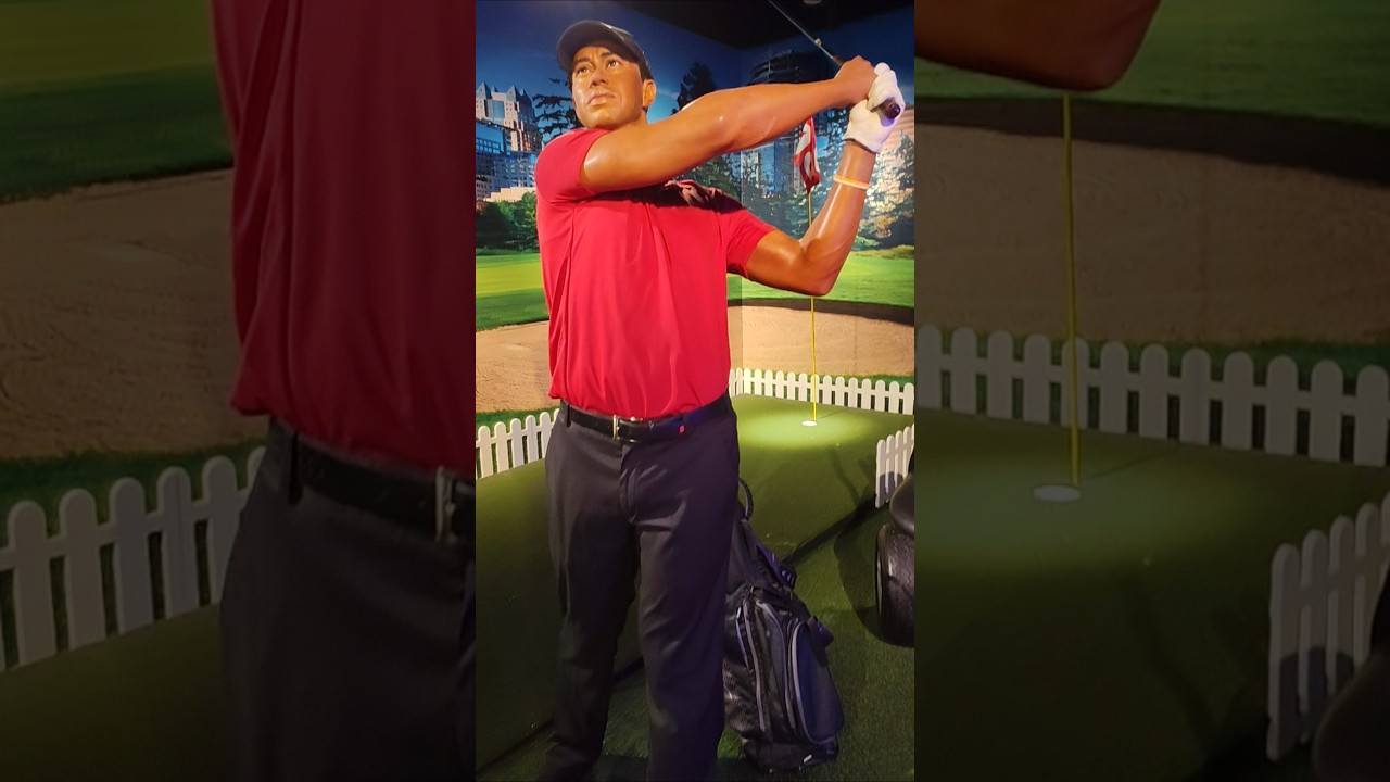 #shorts #tigerwoods #mustwatch #sports