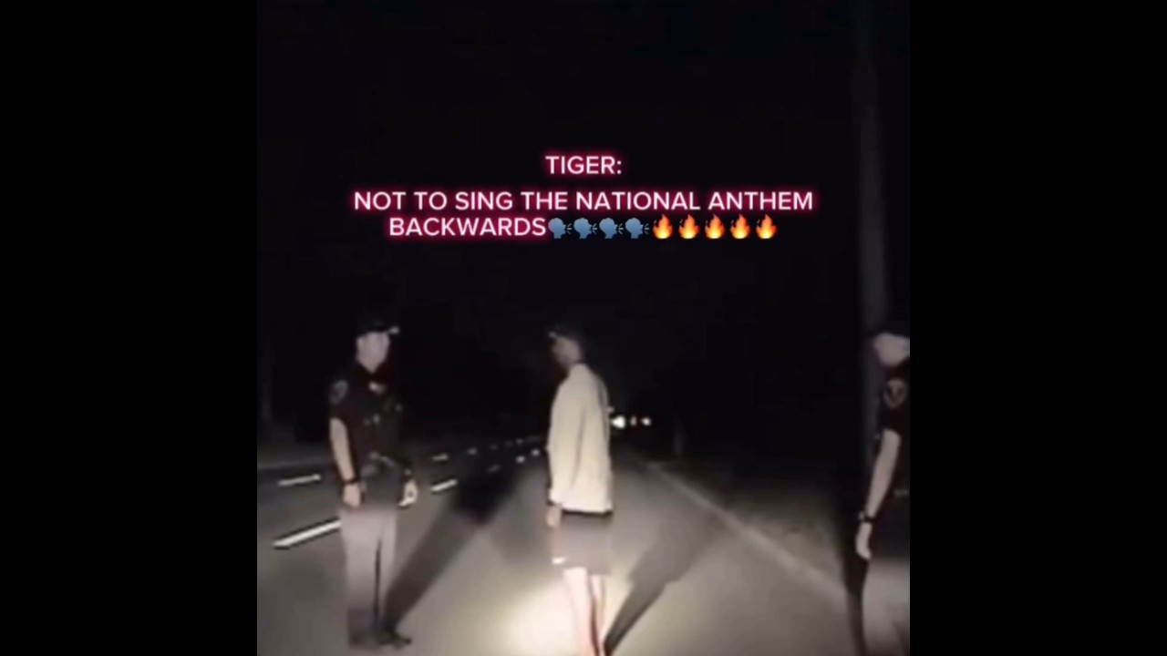 Tiger woods did what? #shorts #tiger #golf