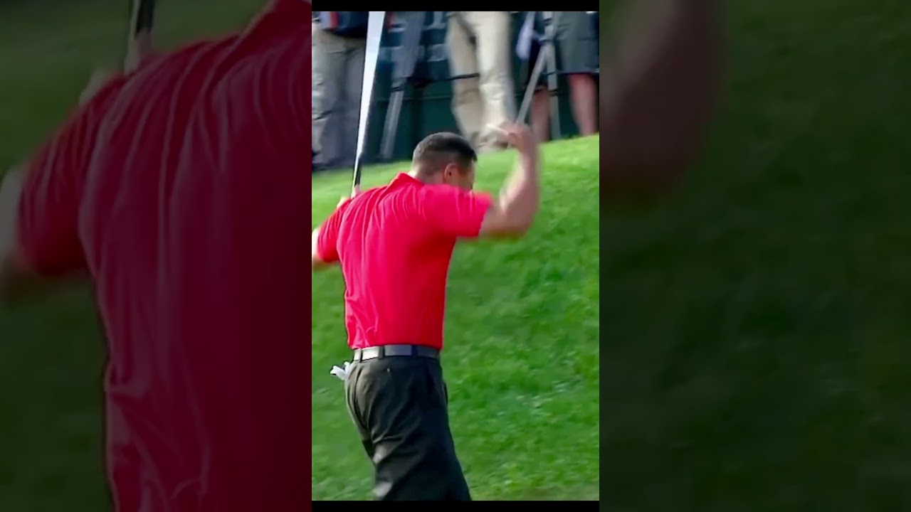 THE BEST TIGER WOODS MOMENTS!! | Part 5 | 🤯⛳️#golf #shorts