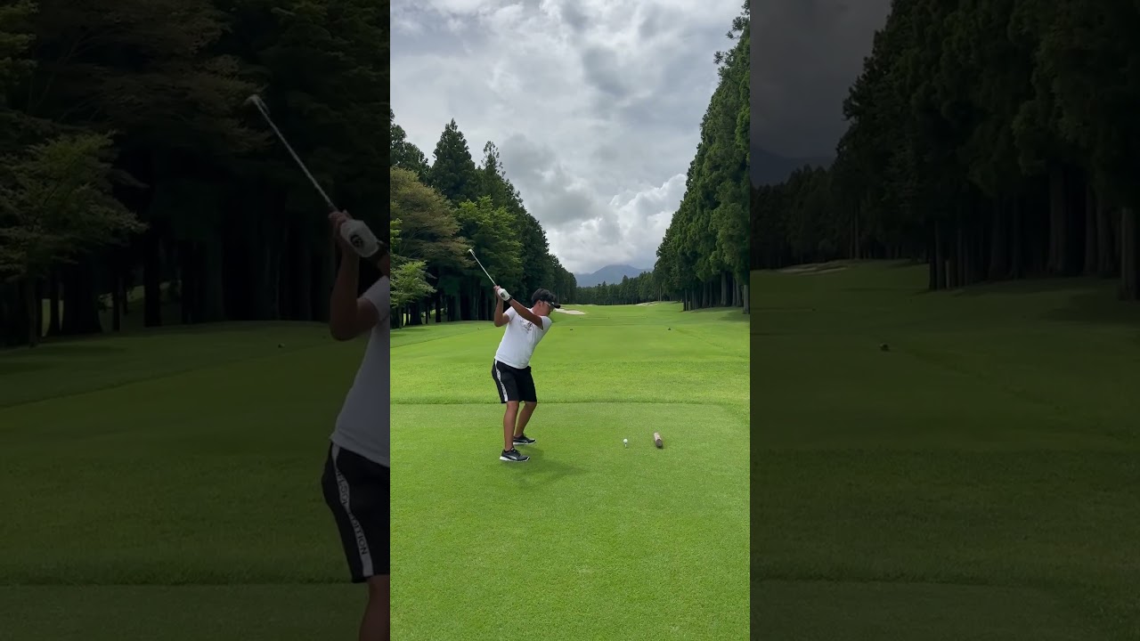 マキロイ型　表 #golf #ゴルフシャフト #epon #下回りスイング #ゴルフ #ゴルフスイング #イメージシャフト #裏 #裏のスイング