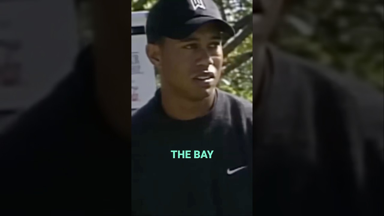 All time Phil Mickelson and Tiger Woods moment ⛳️ #golfshorts #pgatour #golfer