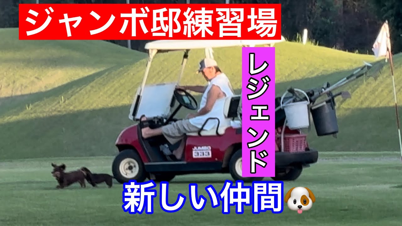 【JUMBO邸練習場】仲間が増えてる‼️