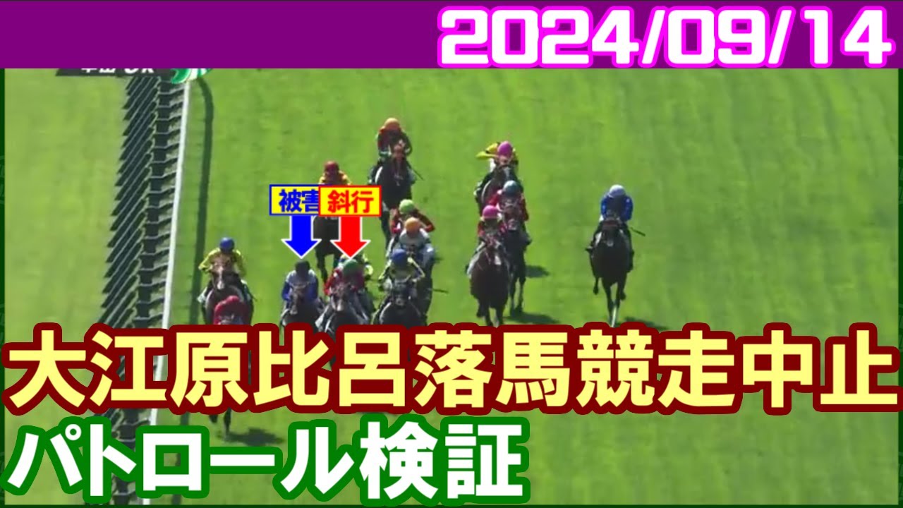 [パトロールビデオ] 大江原比呂が最後の直線で落馬競走中止／2024年9月14日