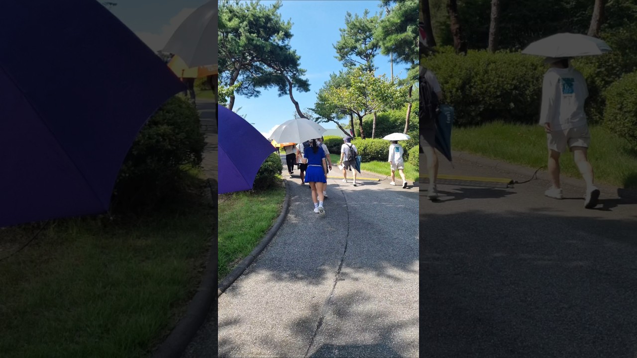 갤러리들과 이동하는 안신애  프로 2024 KG 레이디스오픈 #klpga