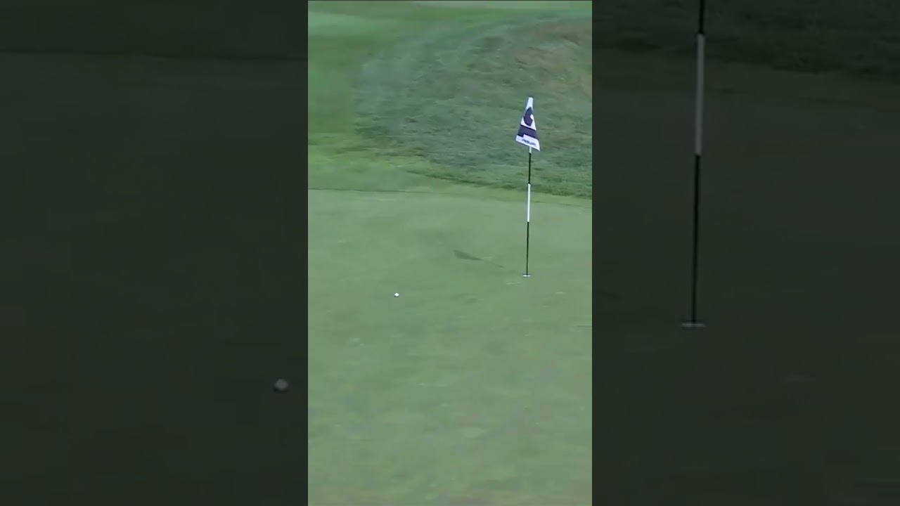 Mickelson played this one perfectly 👌 #livgolf #shorts