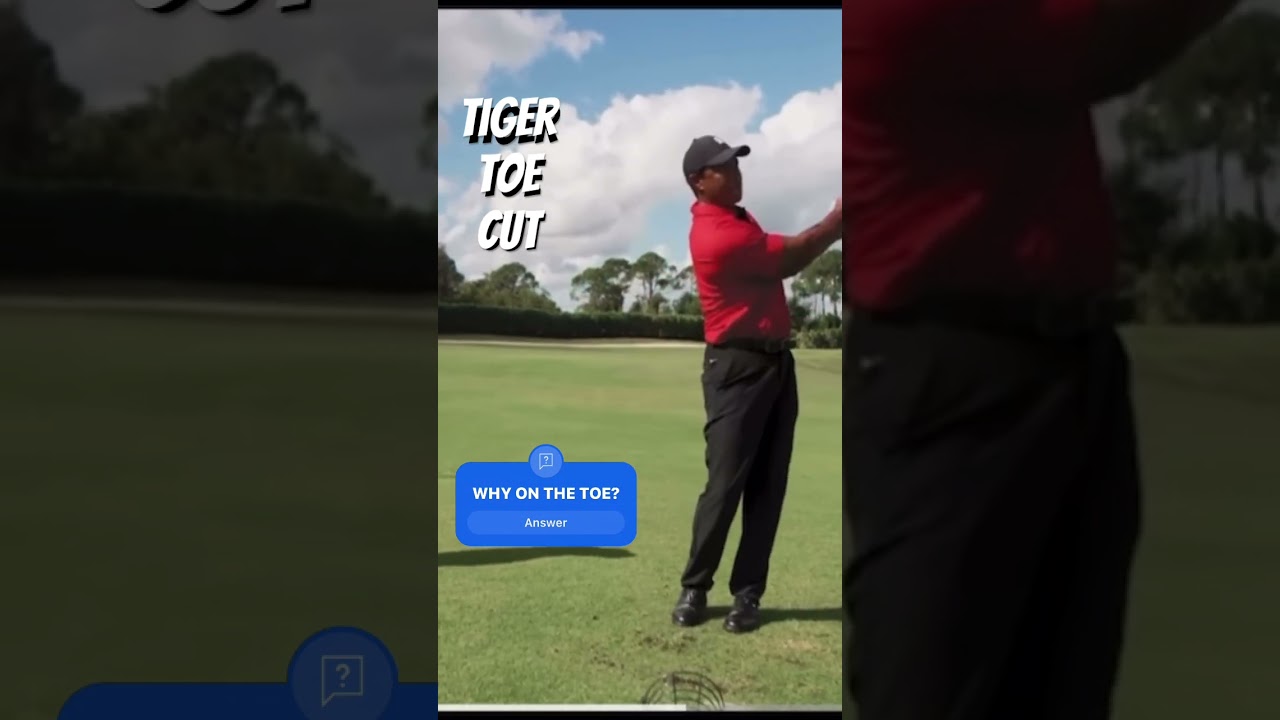 TIGER WOODS WEDGE #shorts #diy #golftips #golf #golfer #short #golfswing #power #tips #champion