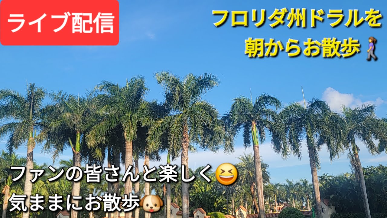 【ライブ配信】フロリダ州ドラルを朝からお散歩🐶ファンの皆さんと楽しく😆気ままにお散歩🚶‍♀️Shinsuke Handyman がライブ配信しました！