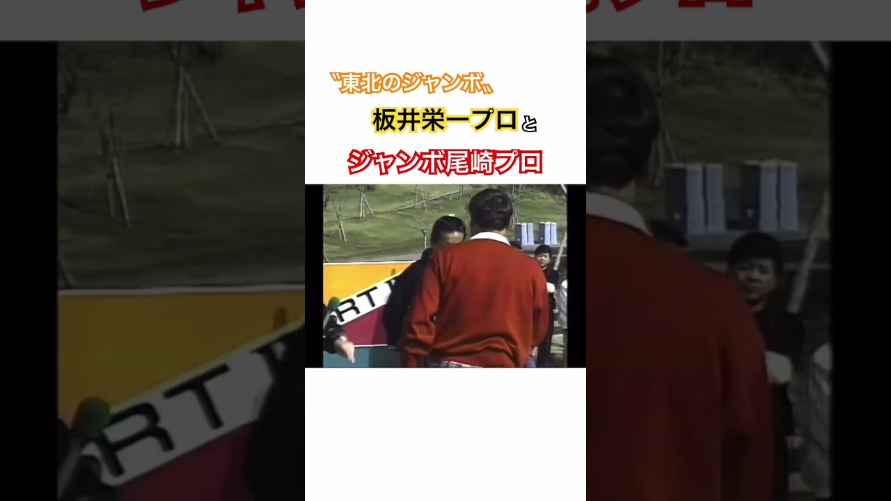 〝東北のジャンボ〟板井栄一プロとジャンボ尾崎プロ✨ #ゴルフ #golf #プロゴルファー #ジャンボ尾崎 #板井栄一