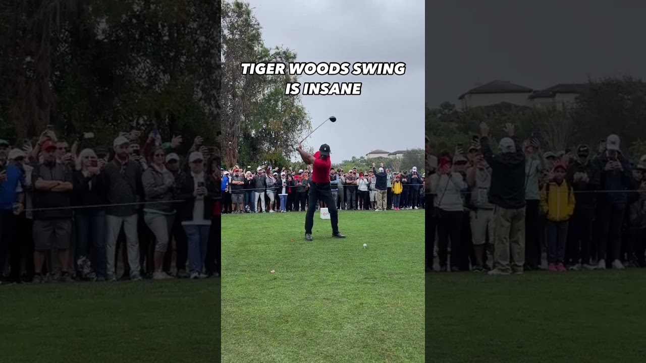 Is Tiger Woods the best golfer of all time? #tigerwoods #pgatour #golf
