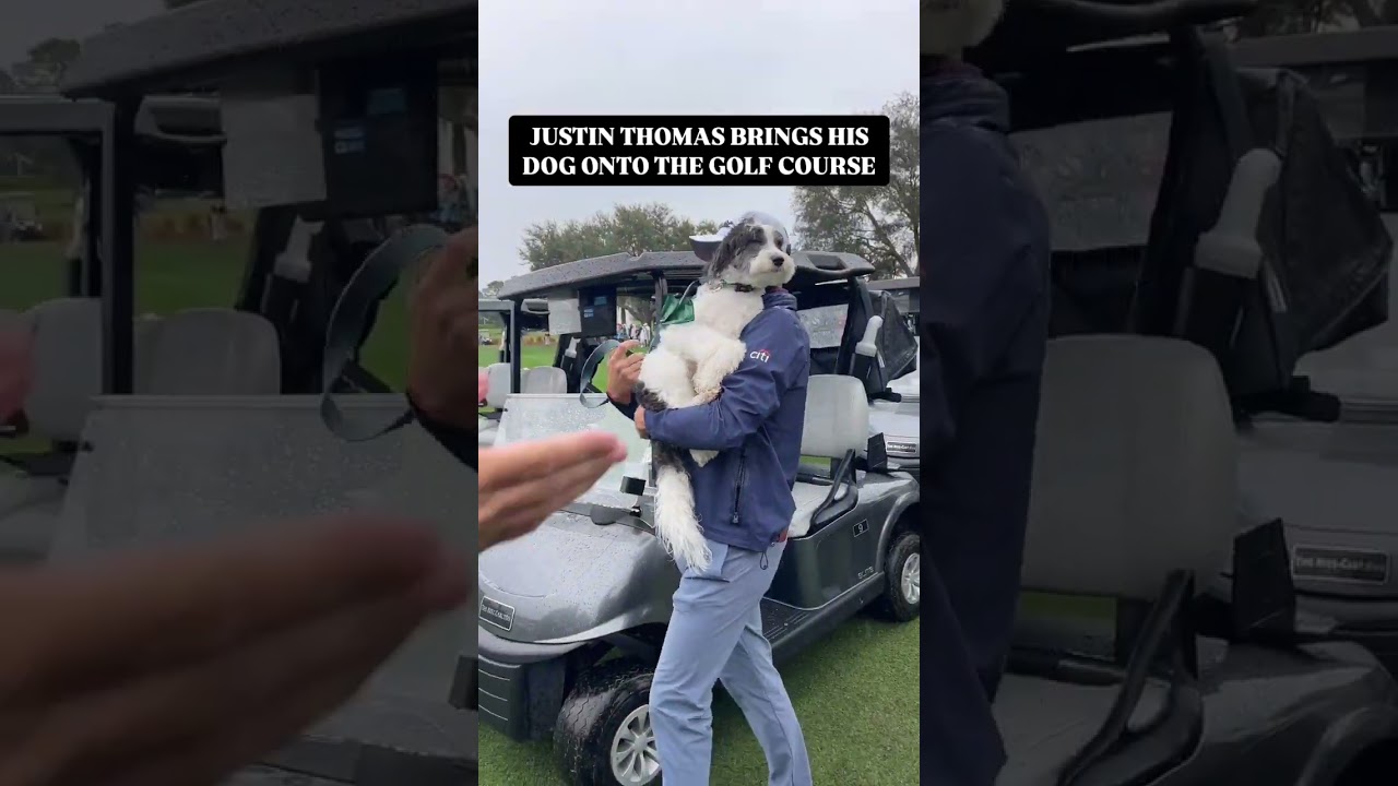 Justin Thomas plays golf with his dog! #justinthomas #pgatour #dogs