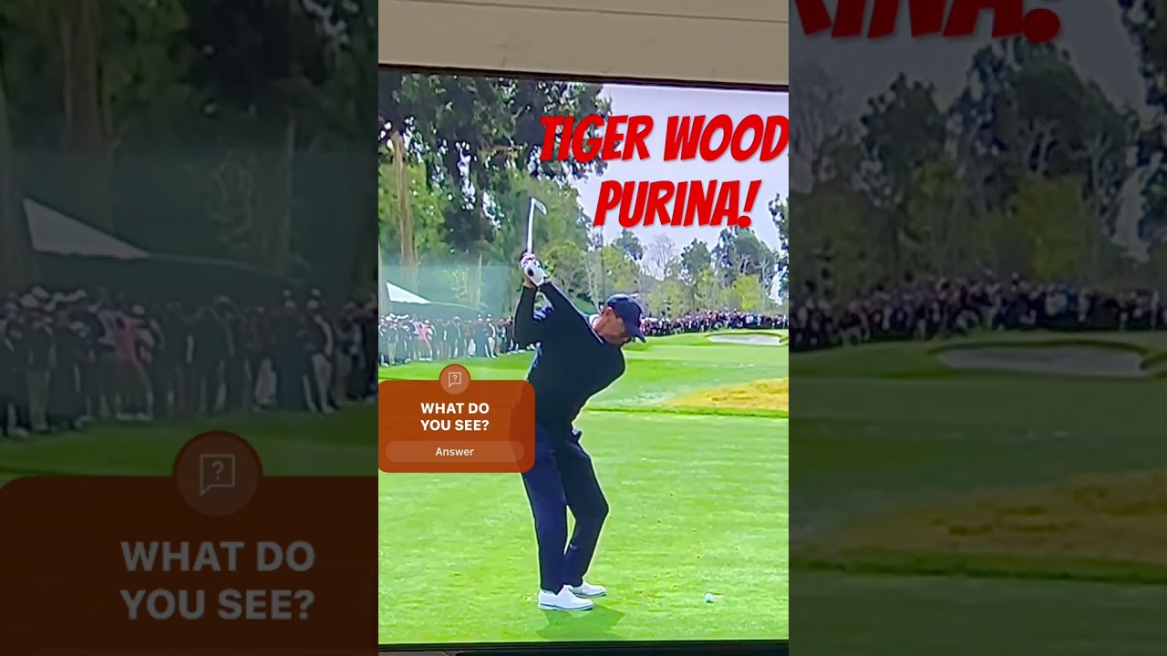 TIGER WOODS PURENESS! #shorts #diy #golftips #golf #golfer #short #golfswing #power #tips #champion
