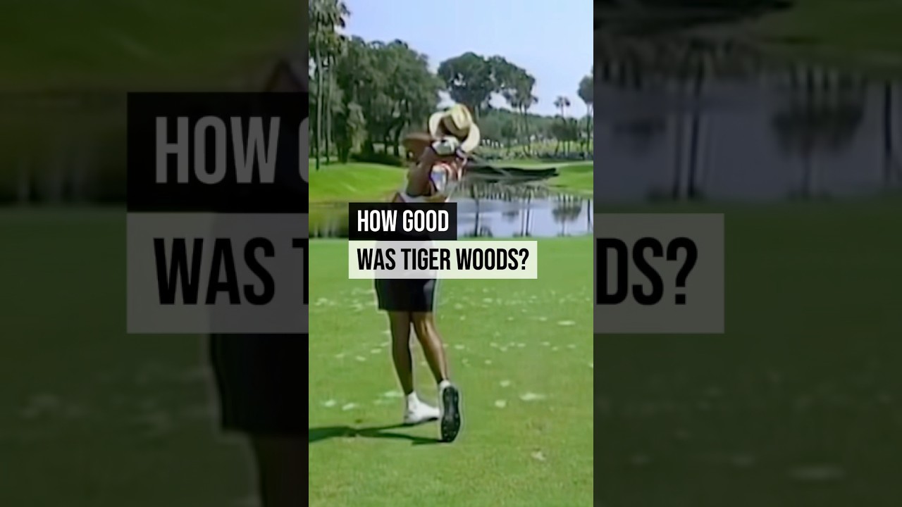 CRAZY Tiger Woods stats! 😳📝 #golf #tigerwoods