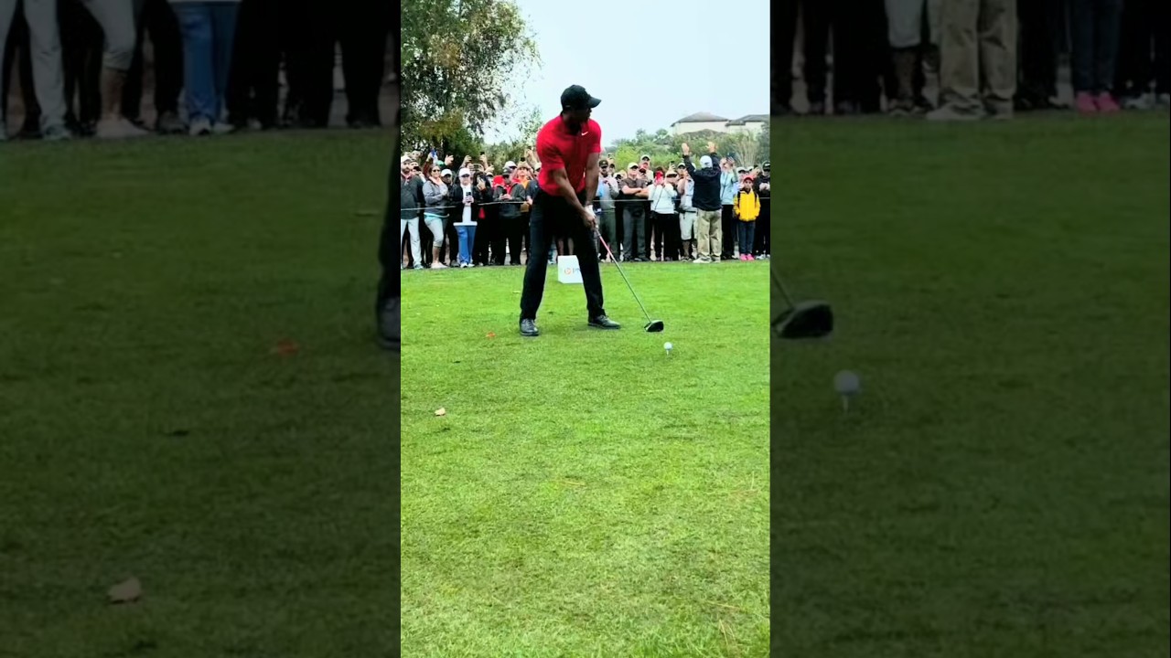 Tiger Woods Driver Golf Swing🔥 #shorts #tigerwoods #golf
