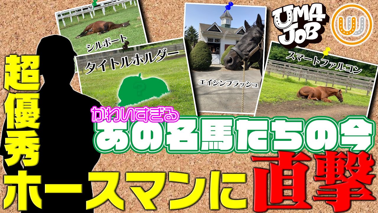 あの名馬たちが可愛すぎる！超優秀ホースマン登場！｜UMAJOBコラボSP