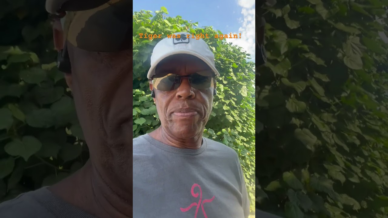 Lower Golf Score tip#54: Listen to Tiger Woods- mentalgolf #golfmindset #lowergolfscores #golf