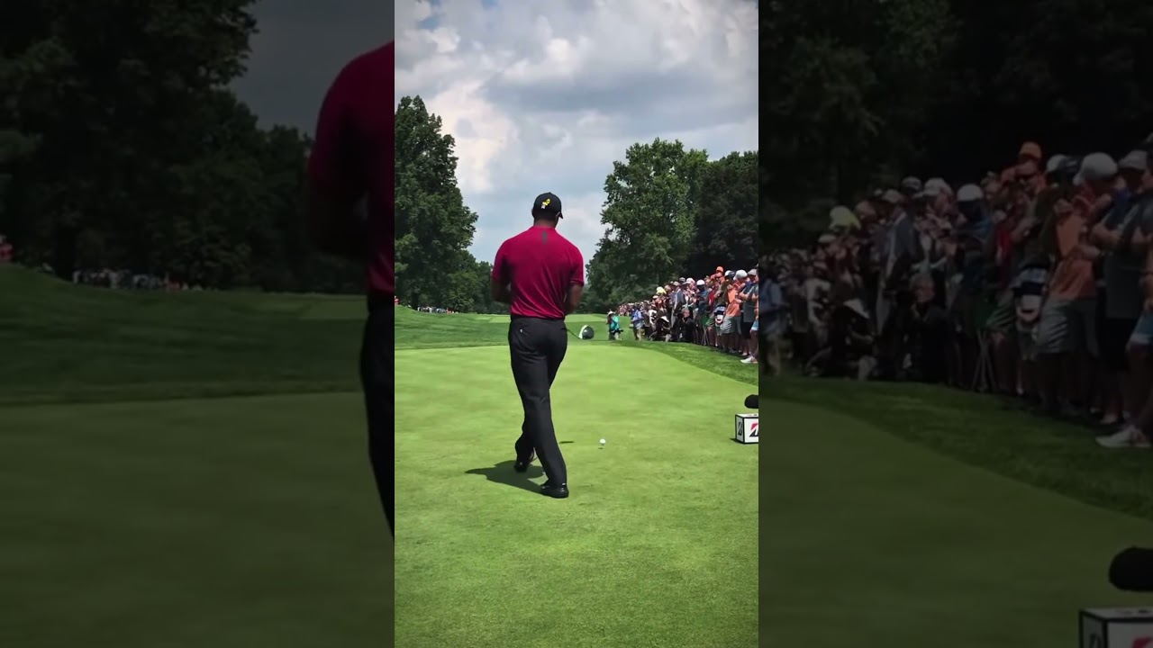 Tiger’s Swing Is A Masterpiece 🎨 #golf #shorts
