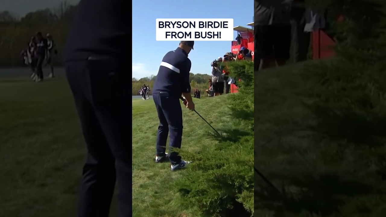 Bryson DeChambeau's INCREDIBLE birdie from bushes! 😱
