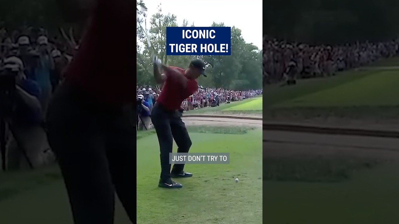 Tiger Woods' INCREDIBLE recovery! 😱