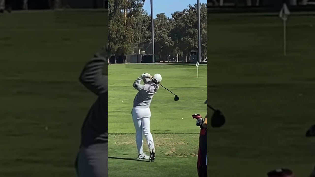 Rory McIlroy Driver Swing