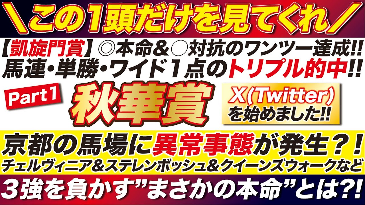 【秋華賞2024予想】３強を負かす”まさかの本命”を無料公開！チェルヴィニア＆ステレンボッシュに割って入れる！好材料を備えた２桁人気とは？！