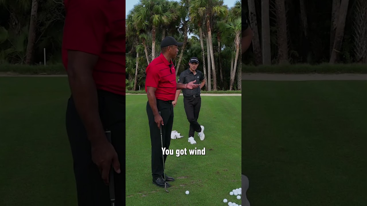 Tiger Woods' short game secrets with Collin Morikawa. #TaylorMade #shorts