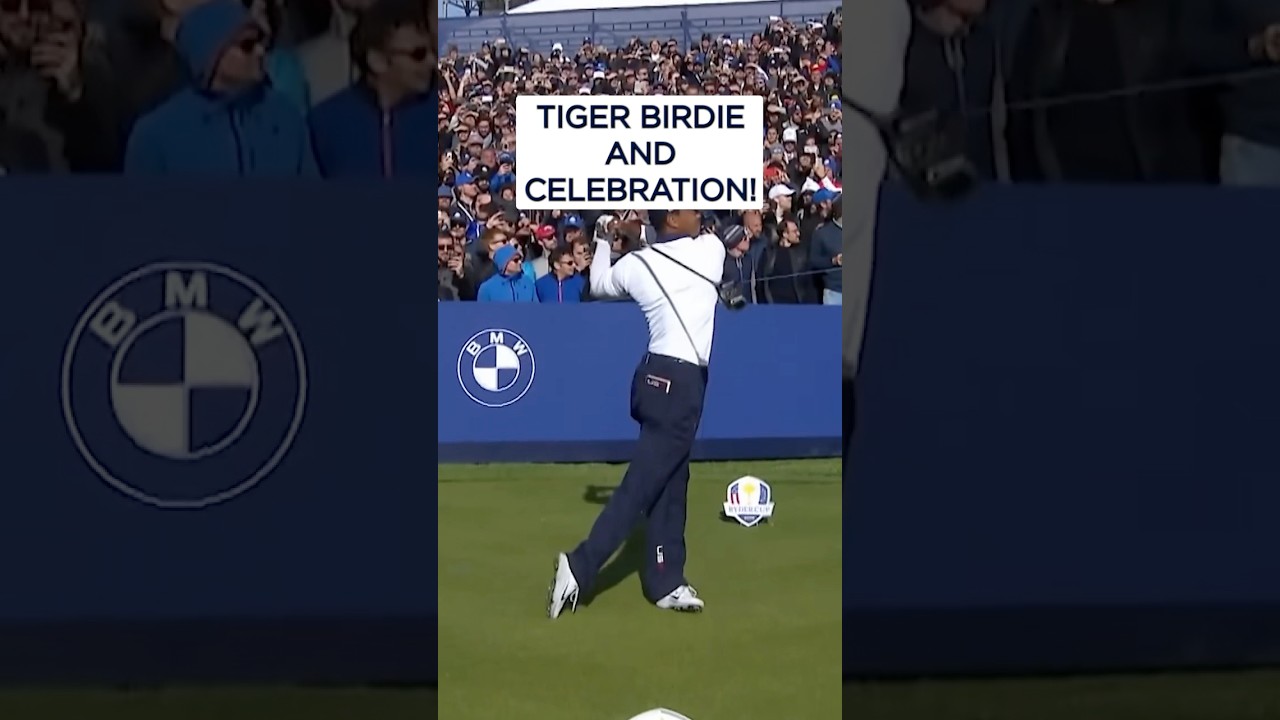 Tiger Woods' CELEBRATION towards European fans! 🔥