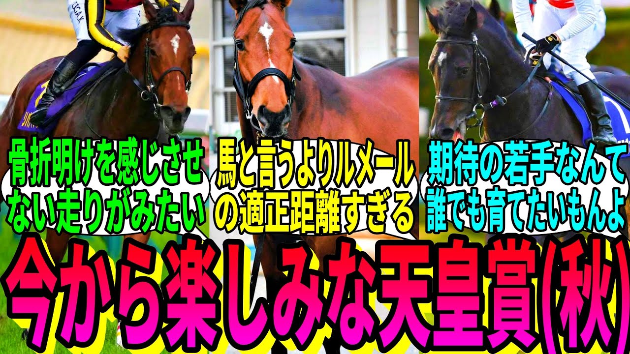 【競馬の反応集】「天皇賞(秋)のメンバー、めちゃくちゃ豪華すぎる」に対する視聴者の反応集