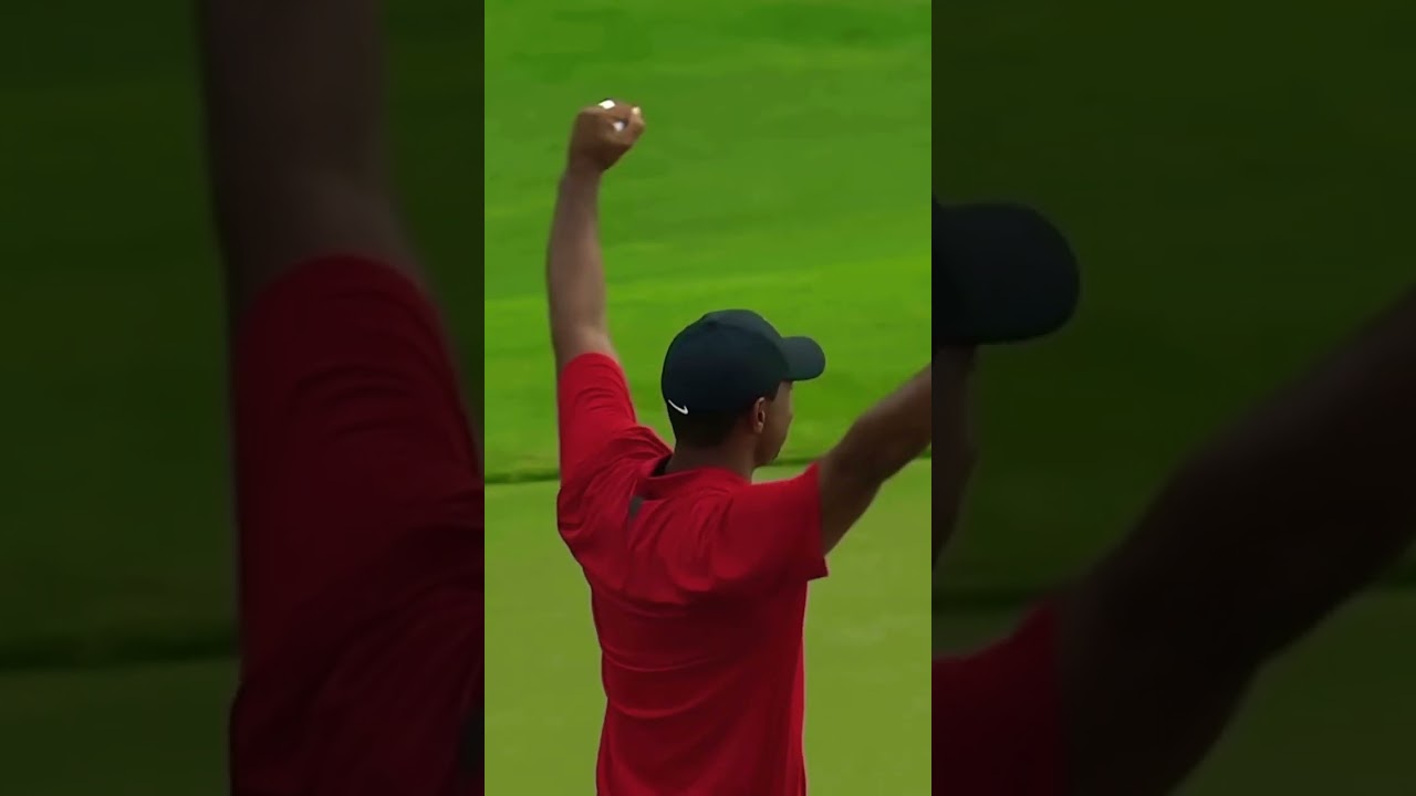 Subscribe for more!! Tiger woods #golf #tiger #pga #like #subscribe #golfskill