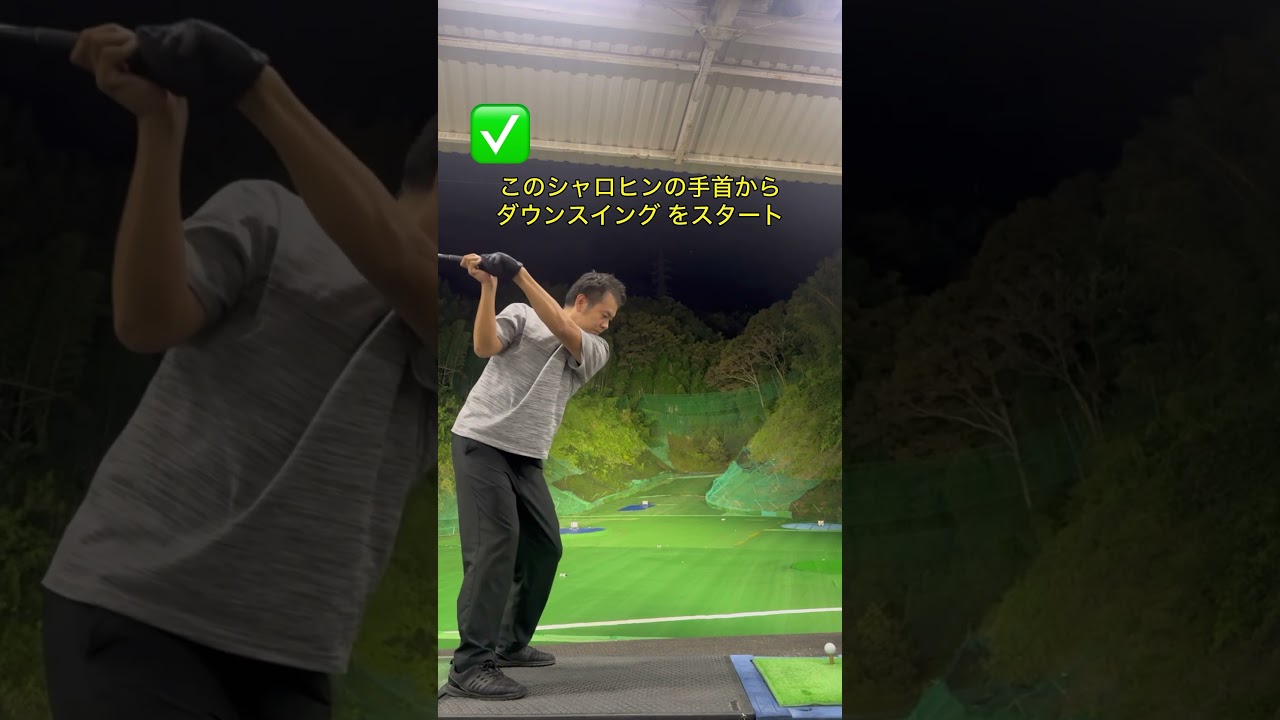 これがシャロヒンのメリット