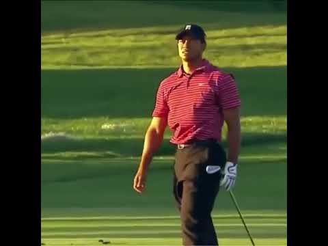 Tiger Woods Saucing a wedge🔥 #golf #tigerwoods #clutch