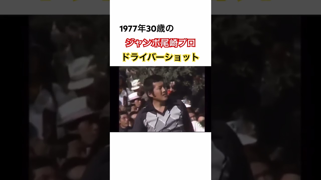 1977年30歳のジャンボ尾崎プロのドライバーショット✨ #ゴルフ #golf #ジャンボ尾崎 #ドライバー