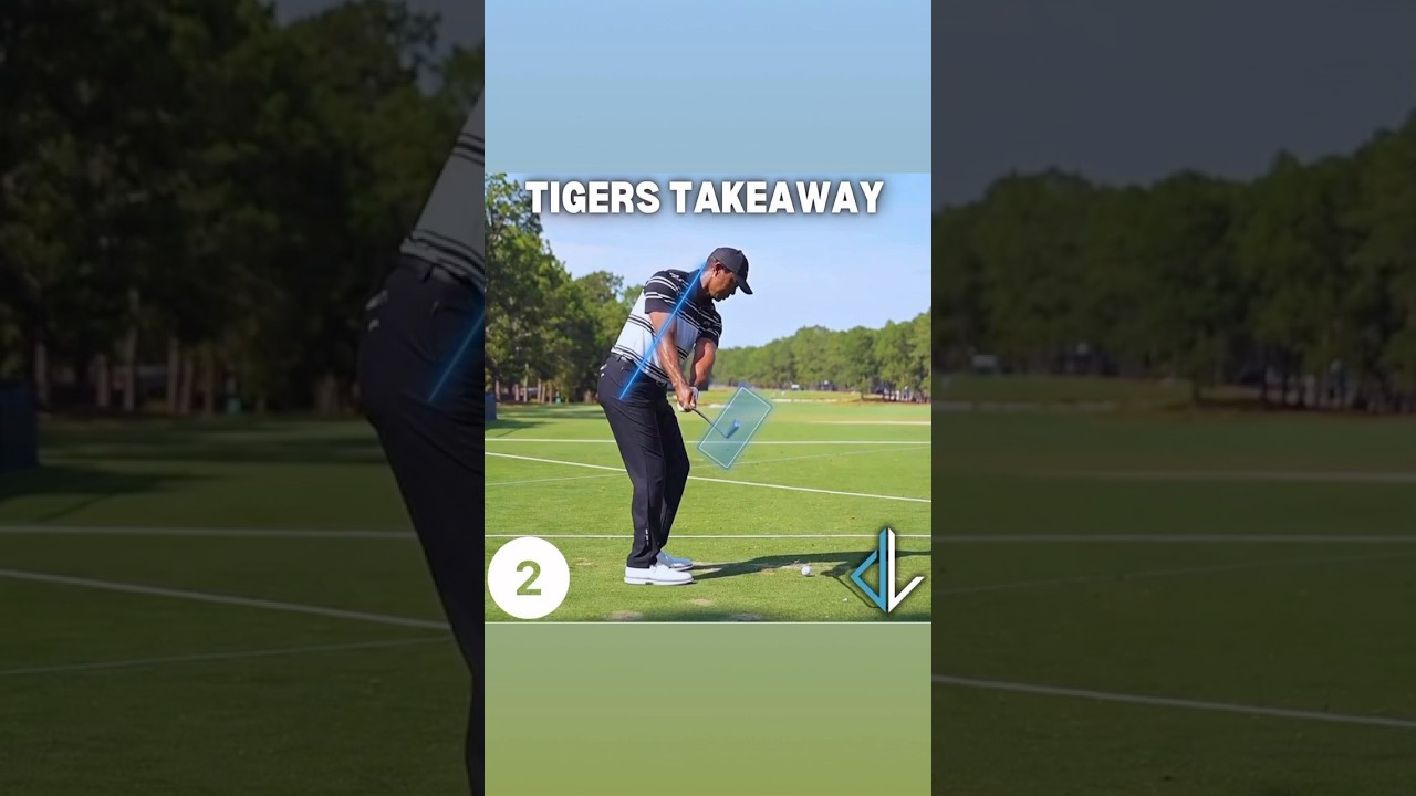 Tiger Woods Golf Swing #tigerwoods #golfswing #golfshorts