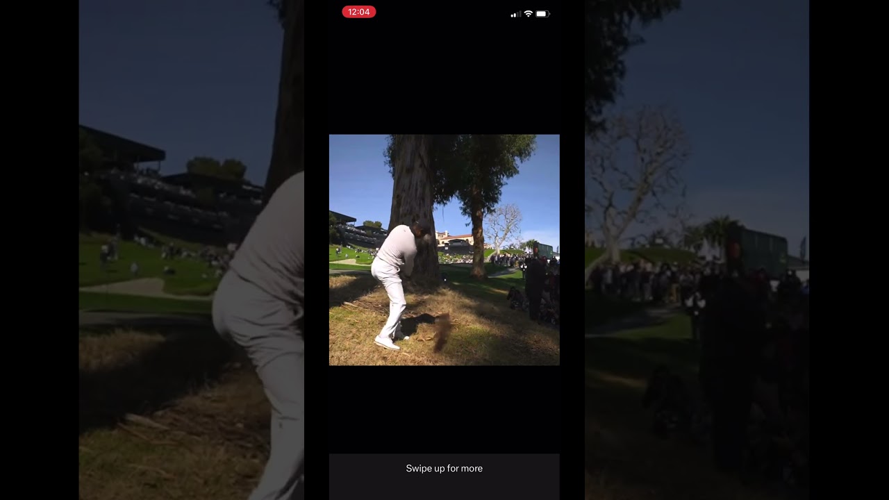 Tiger Woods escapes the woods and par!