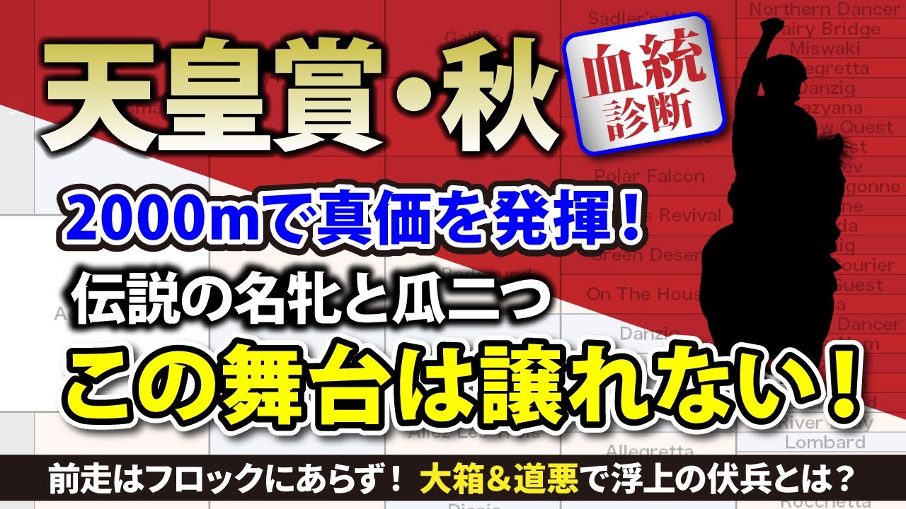 【天皇賞・秋2024｜血統診断】歴史的名牝との共通点　この舞台で輝く名配合を狙え！