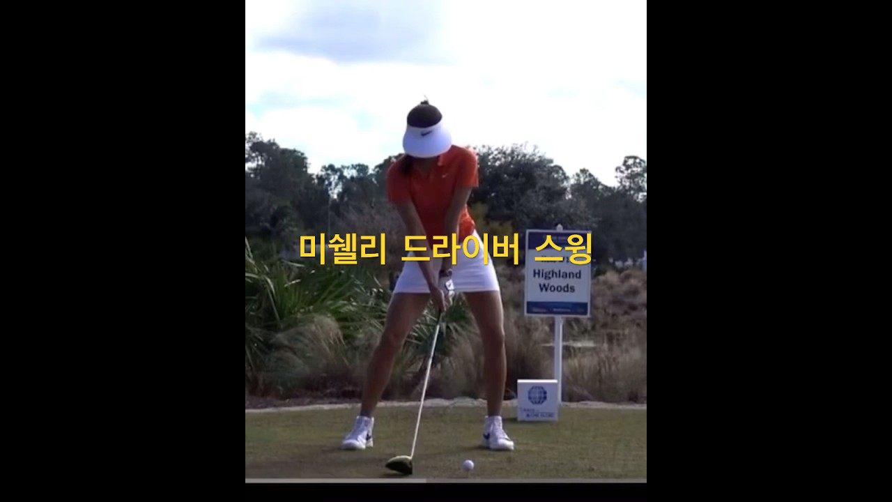 미쉘 리 드라이버 스윙