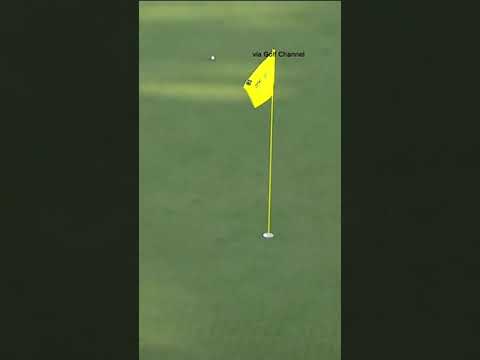 Rory pressed SEND 🚀