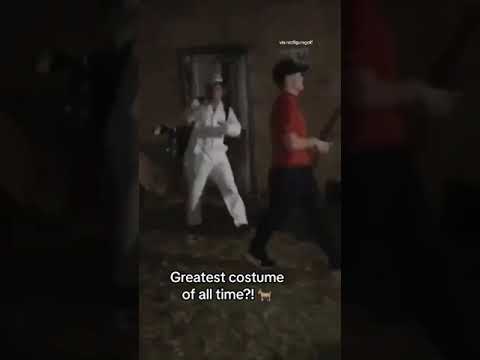 You gotta love it 🐅