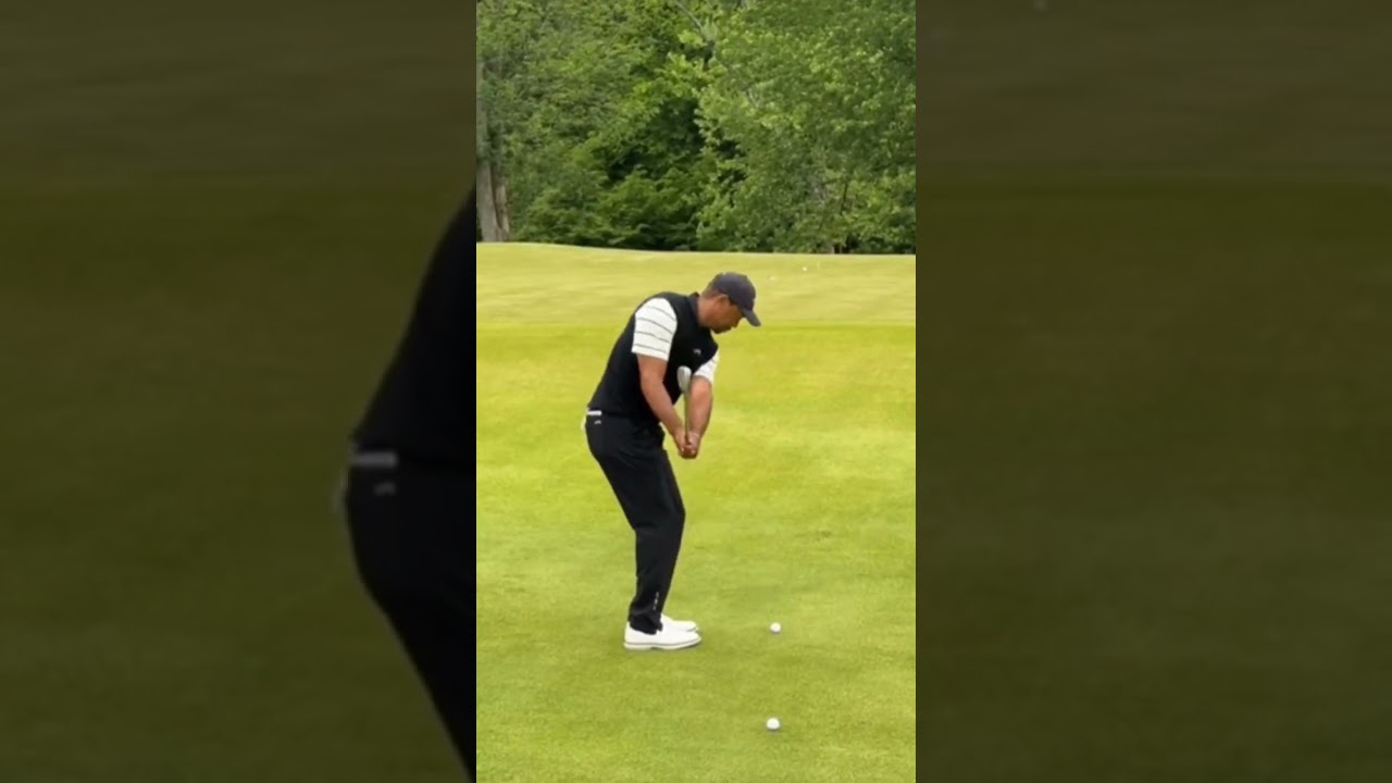タイガーアプローチ練習 #golf #golfshorts #golfswing #golfer #pga #golfskill