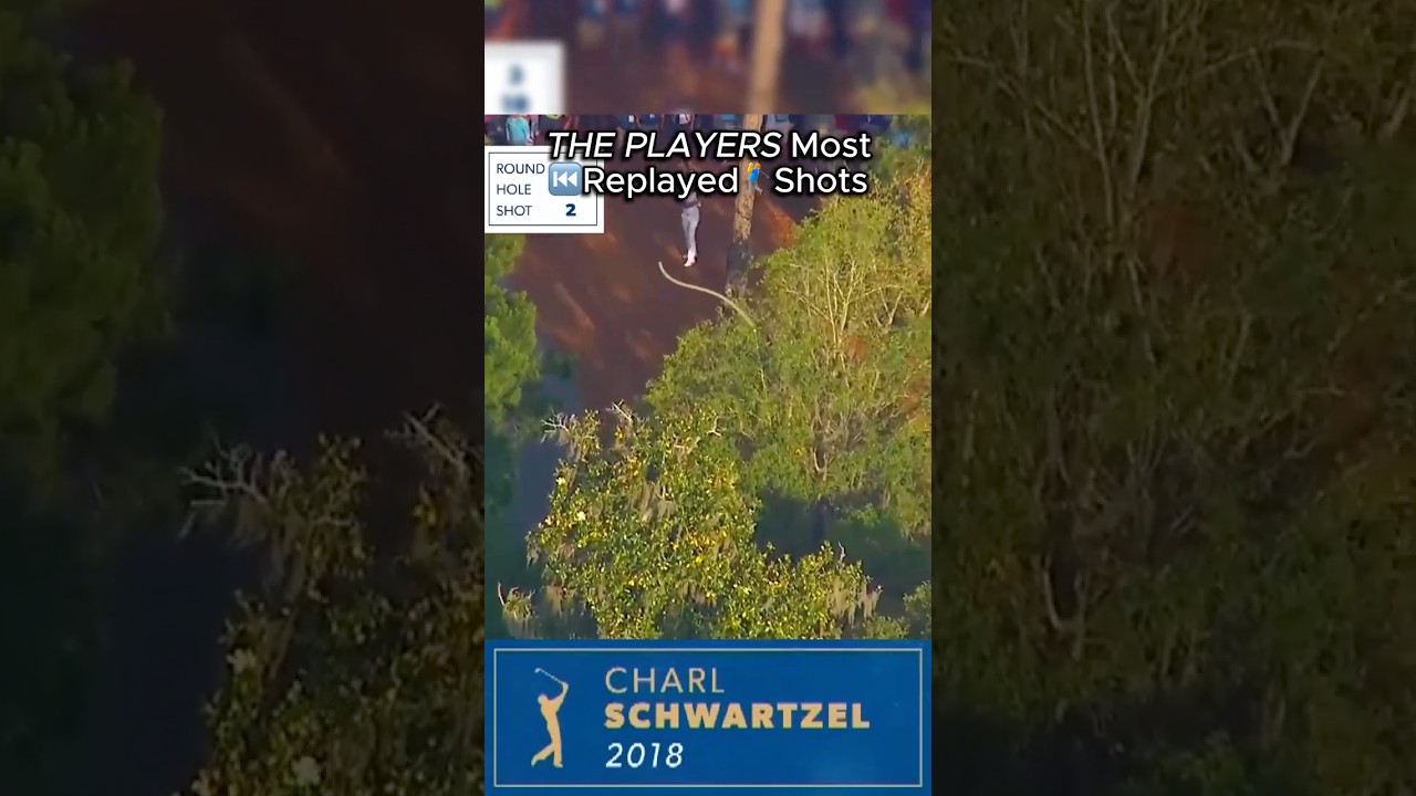 Most⏮️Replayed🏌️‍♂️Shots THE PLAYERS