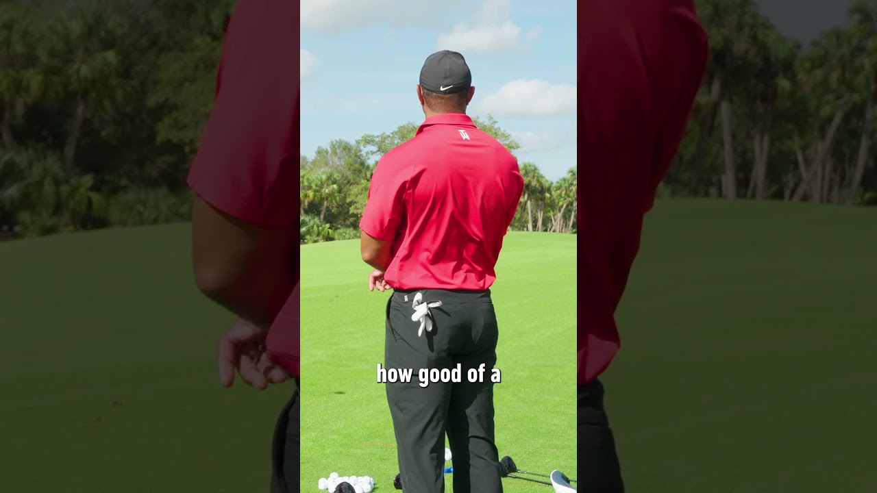 Some of Tiger Woods' best golf sayings. 😂 #TaylorMade #shorts