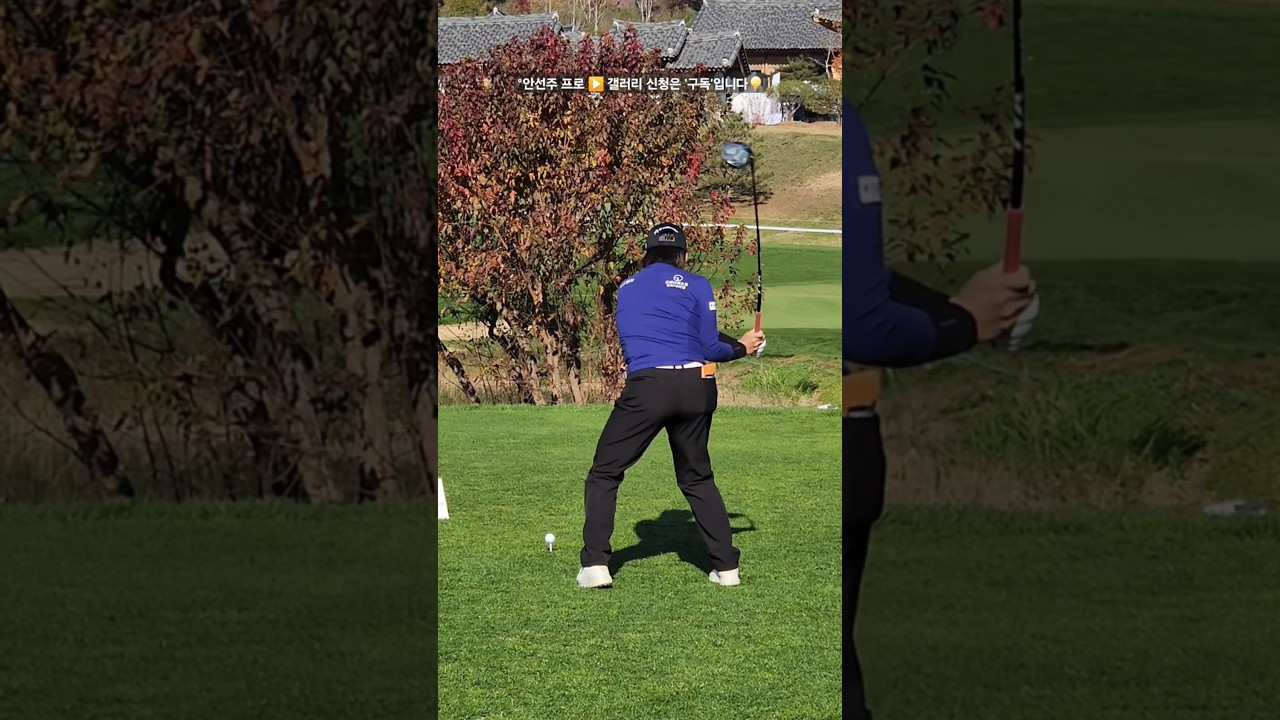 스윙의 원리를 보여주는 통산35승의 레전드😮 #안선주