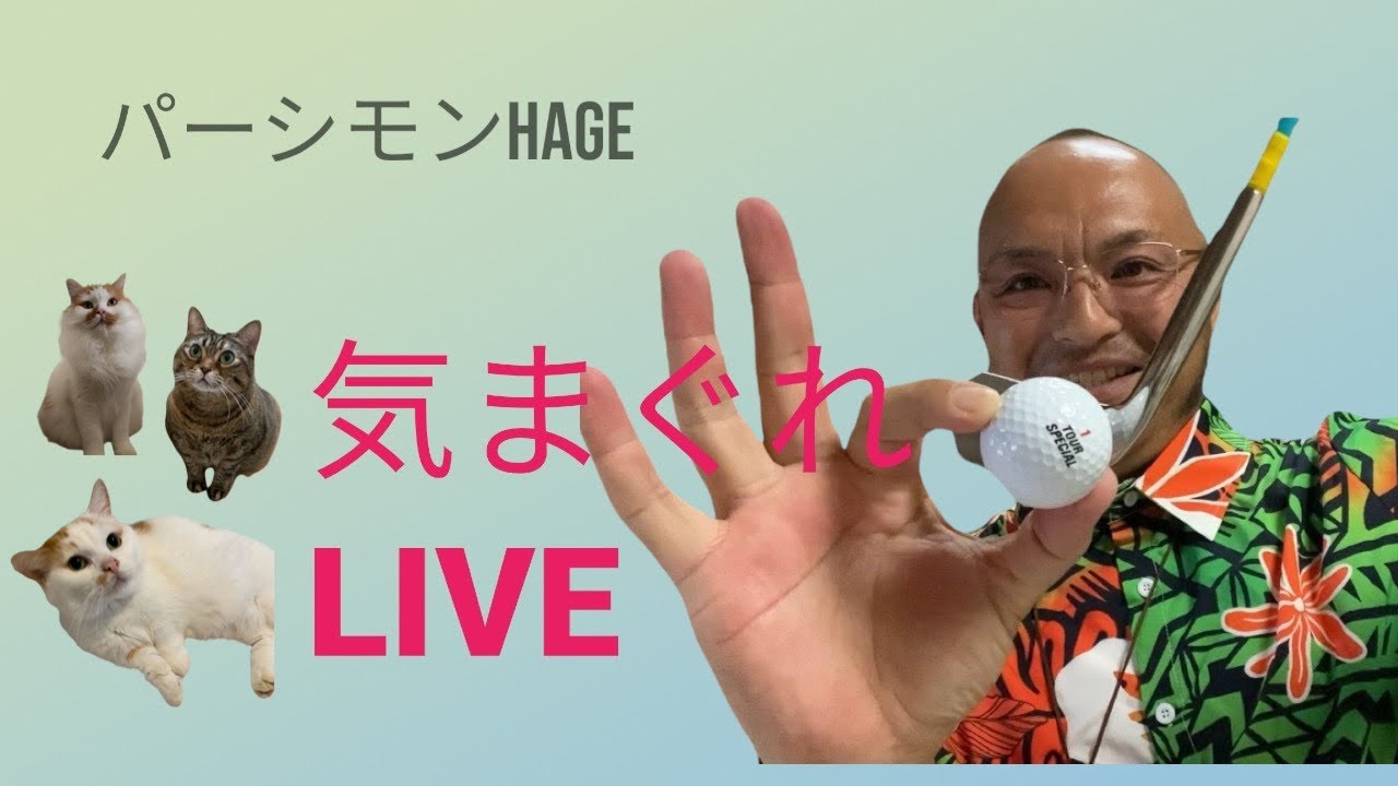 《中高年ゴルファーを救う》パーシモンHAGEゴルフチャンネル 気まぐれLIVE🤩2024年11月2日
