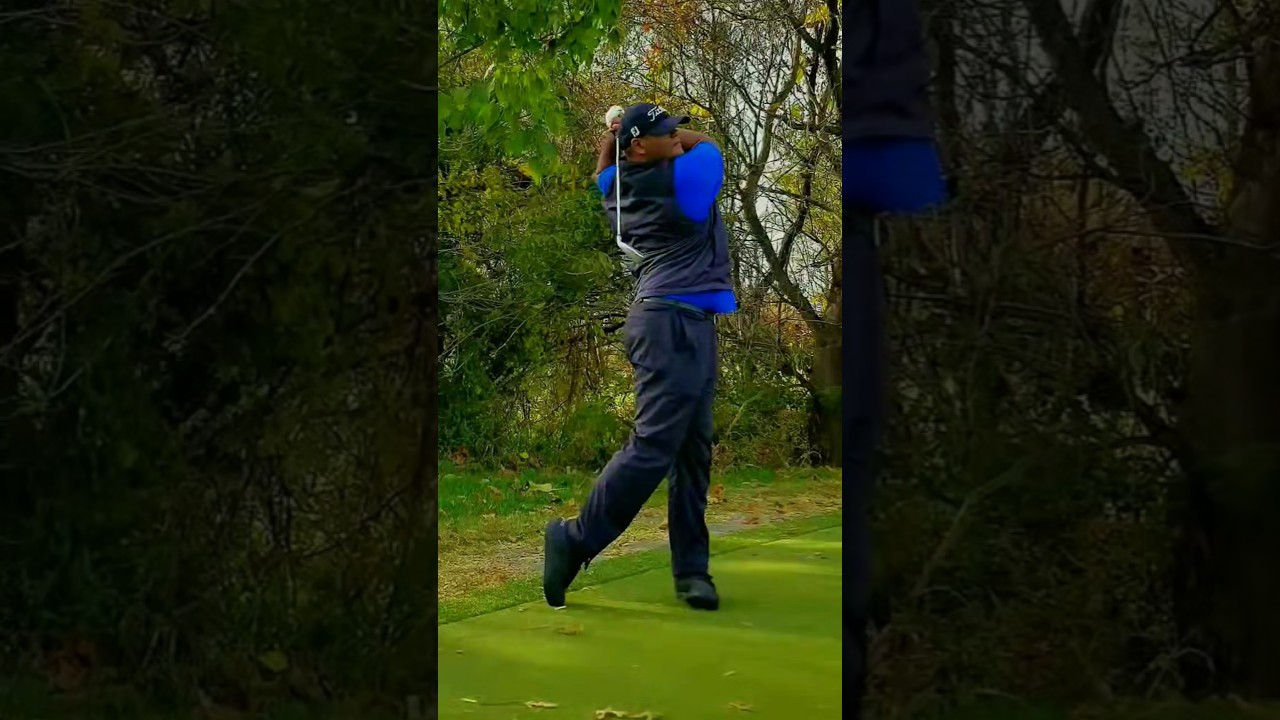 Tiger Woods and Adam Scott were two golf swings I watched alot #tigerwoods #golf #golfswing