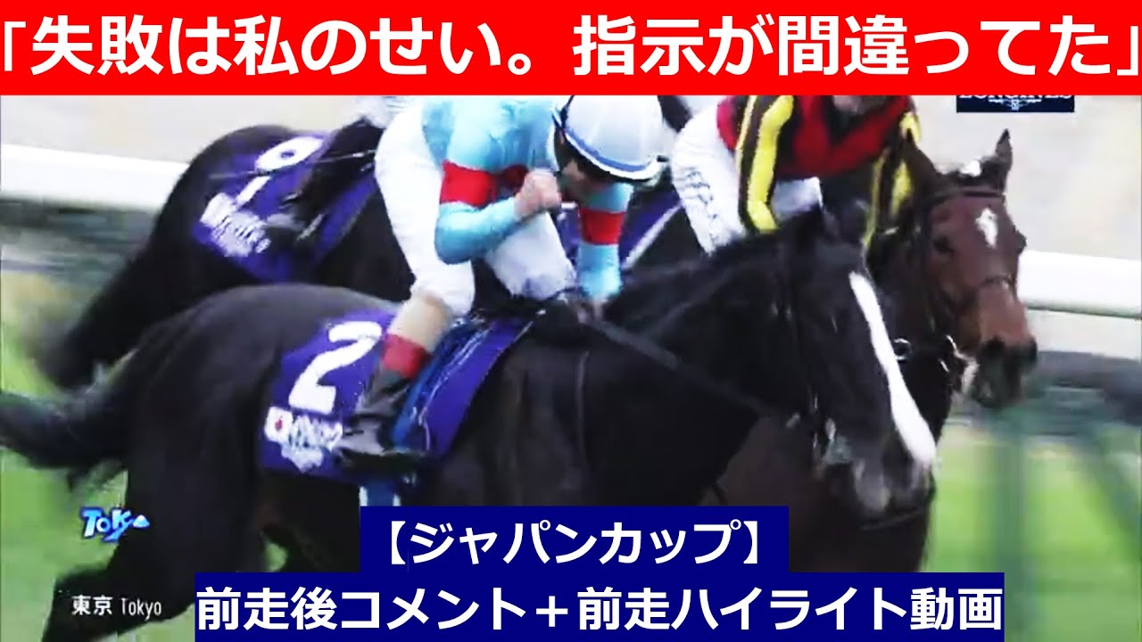 推奨馬⑤頭！【ジャパンカップ　2024】前走後騎手コメント＋過去レースハイライト