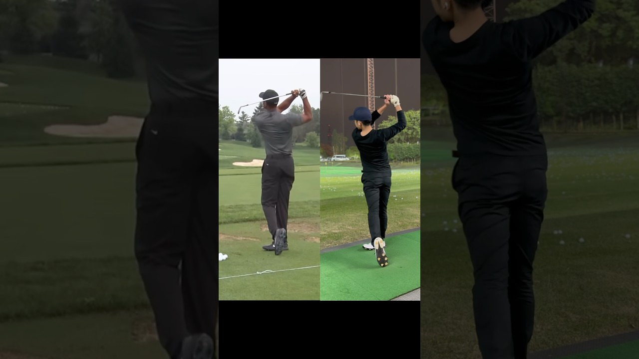 何が違うのか教えてください