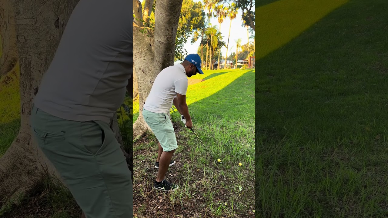 When you try to be like Tiger Woods… but your ball has other plans!! 😂 #golf #tiger #funny
