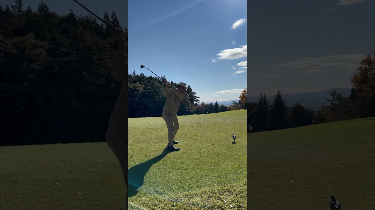 マキロイ型表‼️ #golf #epon #ゴルフ #ゴルフスイング #下回りスイング #golfswing #ドライバー#裏#イメージシャフト